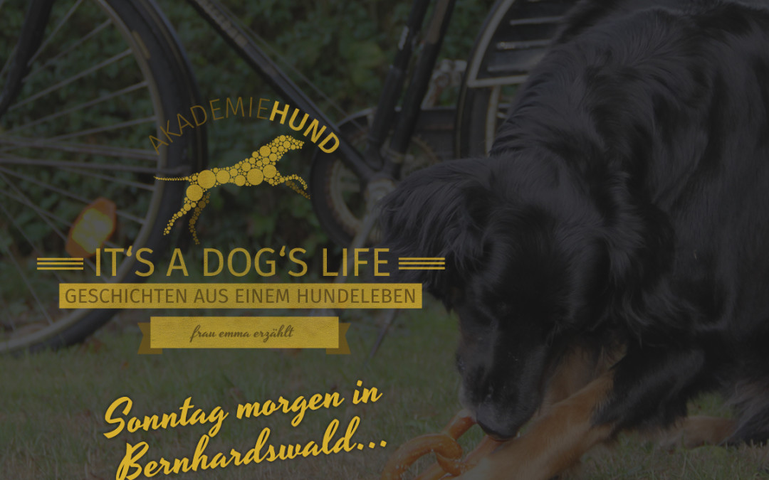 Emma erzählt: Sonntag Morgen in Bernhardswald…