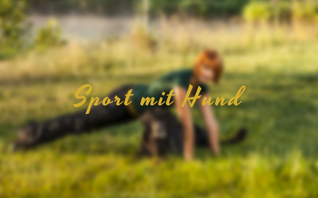 Sport mit Hund – Tanzen mit Hund