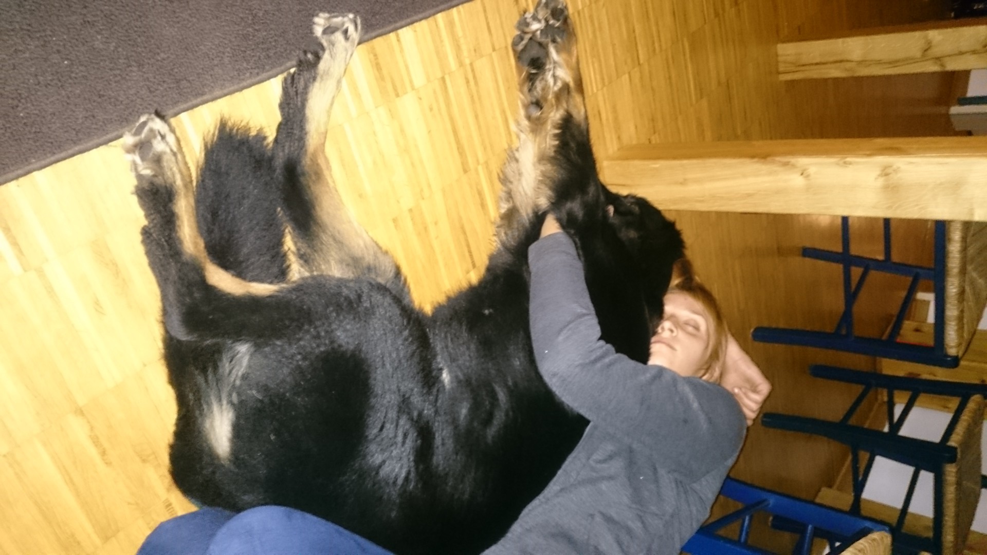 Kuscheln mit Hund Ist das Erlaubt?