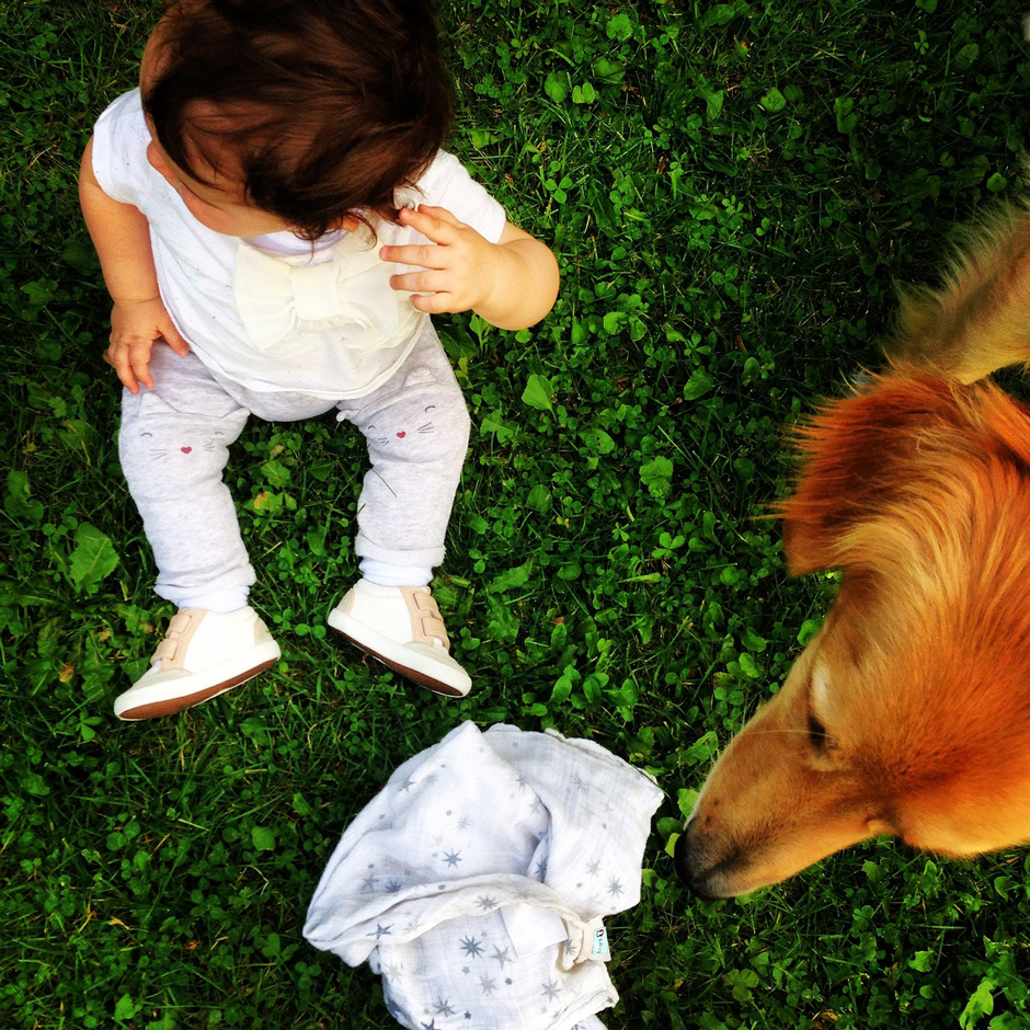 Hund und Kind - Hunde die Kinder erziehen...