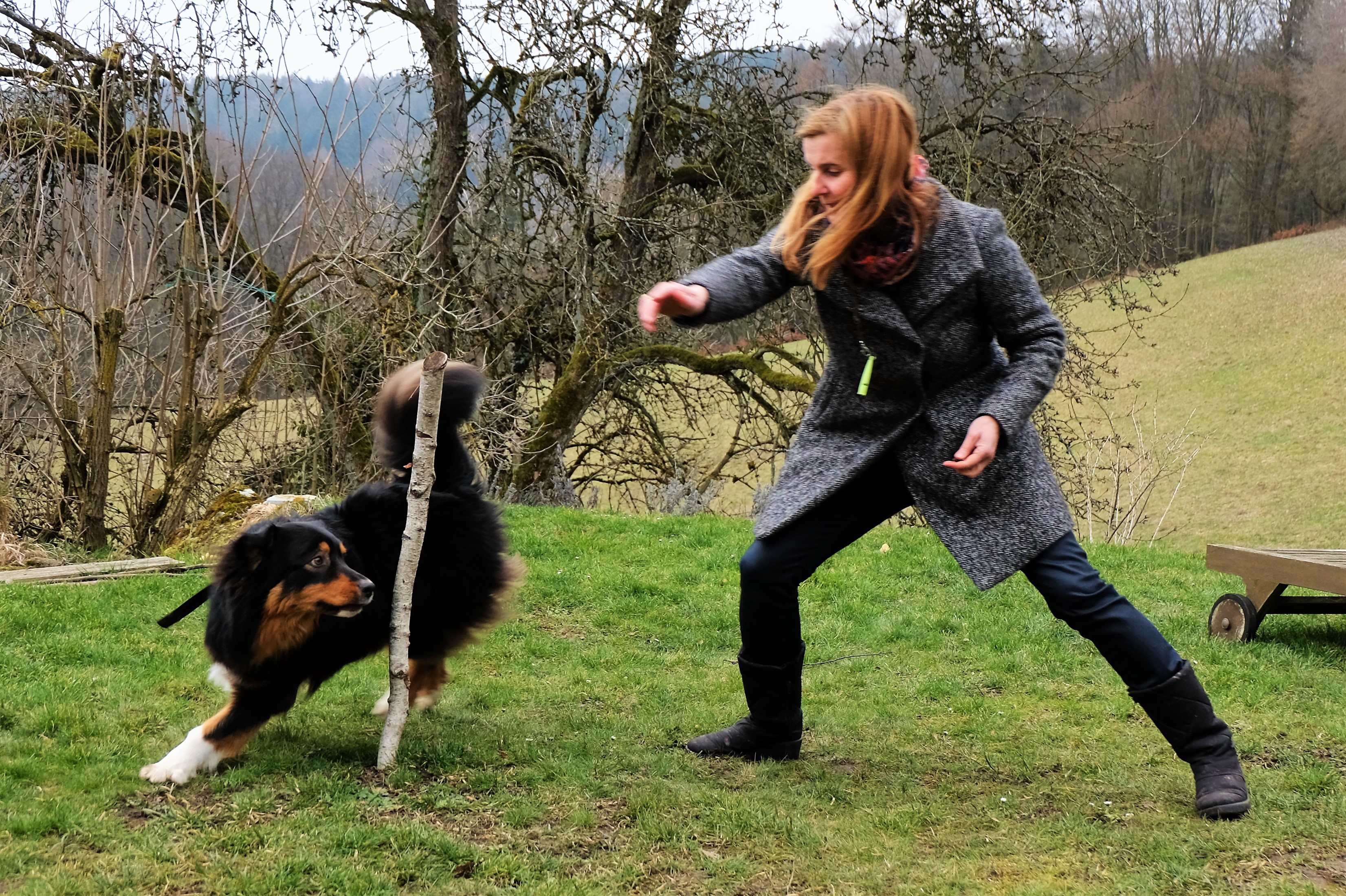 Samson - Akademie Hund Team des Monats Samson - Akademie Hund Team des Monats