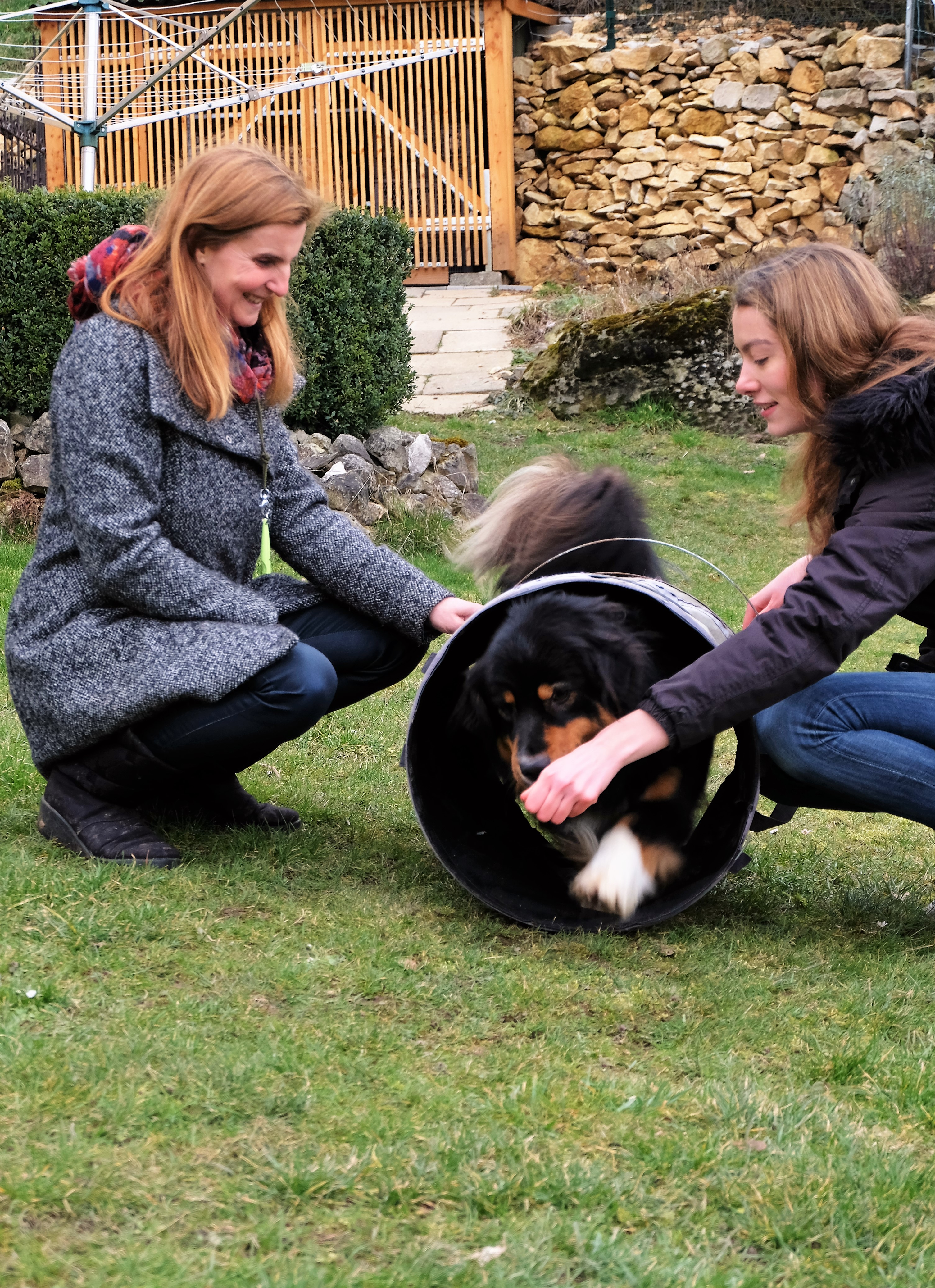 Samson - Akademie Hund Team des Monats Samson - Akademie Hund Team des Monats