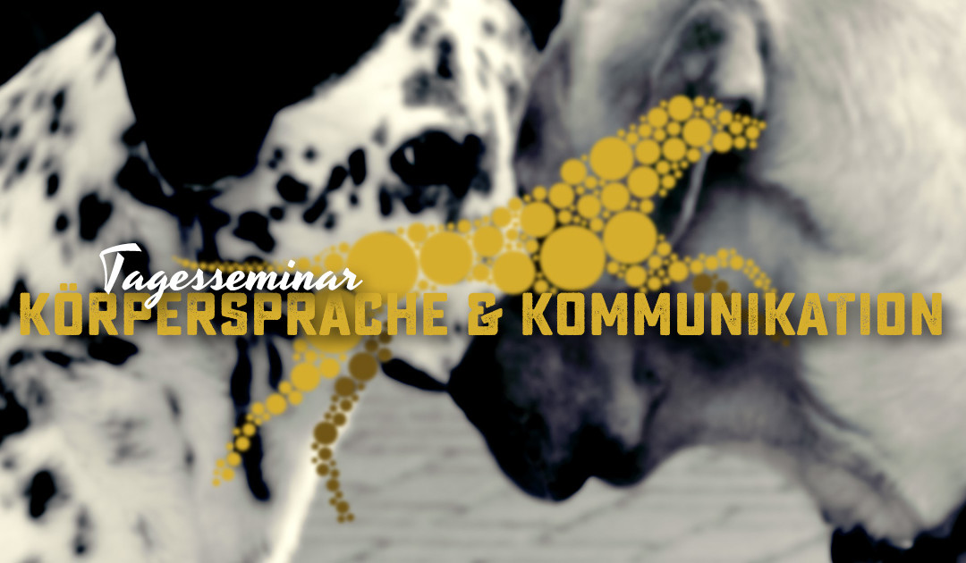 04.12.2016 | Tagesseminar: Körpersprache & Kommunikation