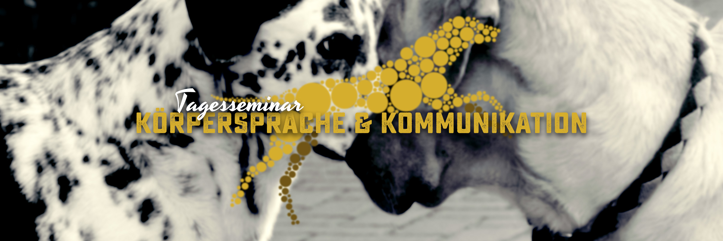 Seminar Körpersprache und Kommunikation - Hundeschule Akademie Hund Seminar Körpersprache und Kommunikation - Hundeschule Akademie Hund
