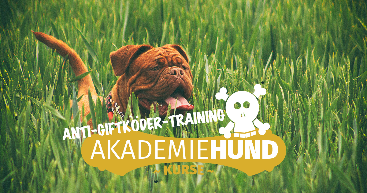 Kurs AntiGiftköderTraining · Hundeschule Akademie Hund