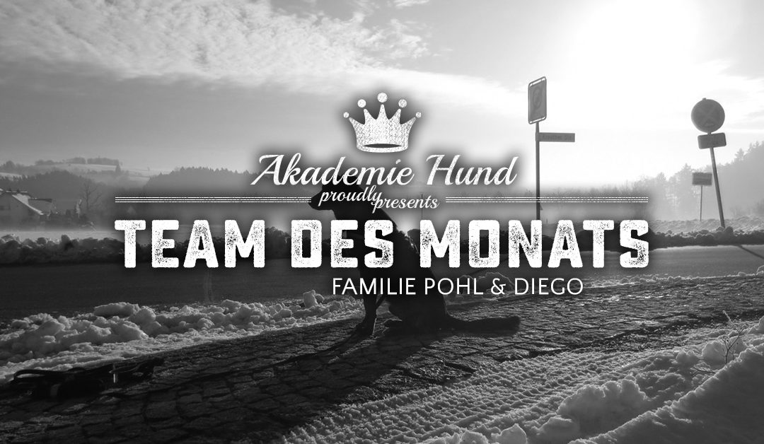 Team des Monats: Christina, Jens und Diego