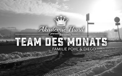 Team des Monats: Christina, Jens und Diego