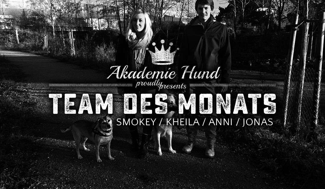 Team des Monats: Jonas, Anni, Kheila, Smokey