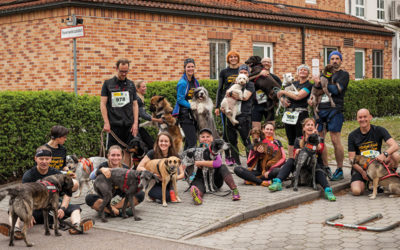 Nachlese: Se(e)hlauf 2017 (inkl. Fotobestellung)