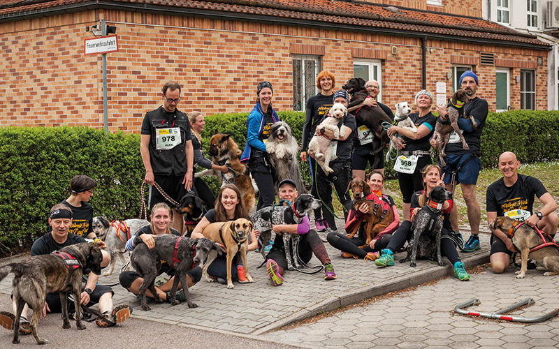Nachlese: Se(e)hlauf 2017 (inkl. Fotobestellung)