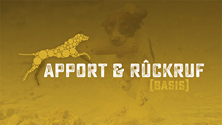 Hundetraining, Apport und Rückruf Hundetraining, Apport und Rückruf