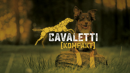 Cavaletti Beschäftigungskurs für Hunde Cavaletti Beschäftigungskurs für Hunde