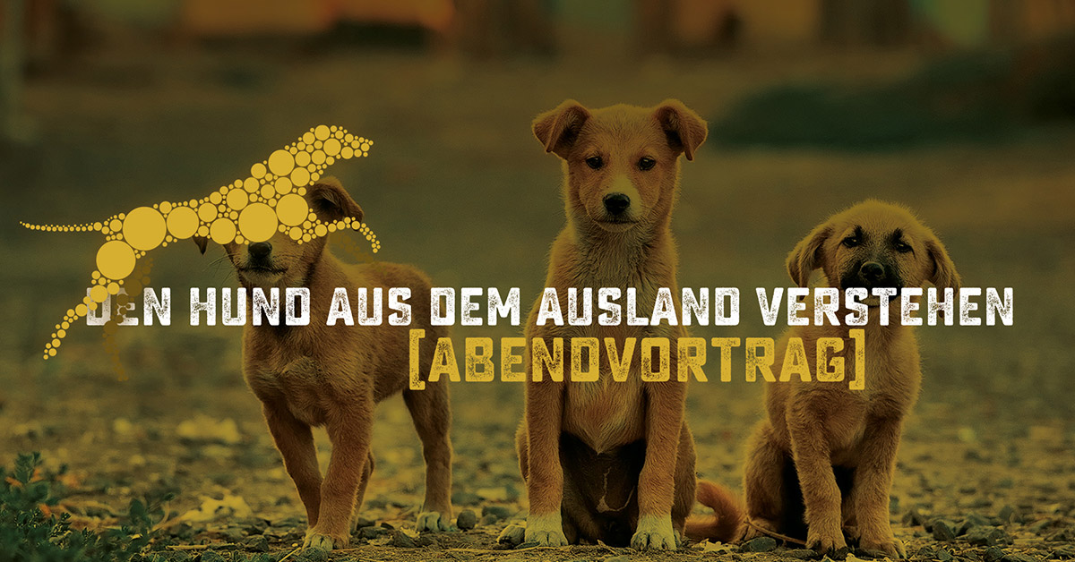 Vortrag, Hundeschule Akademie Hund, Regensburg Hund aus dem Ausland