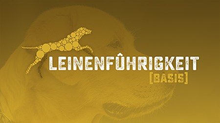 Hundetraining, Leinenführigkeit Hundetraining, Leinenführigkeit