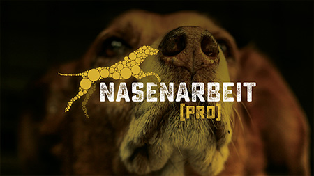 Hundetraining, Nasenarbeit Hundetraining, Nasenarbeit