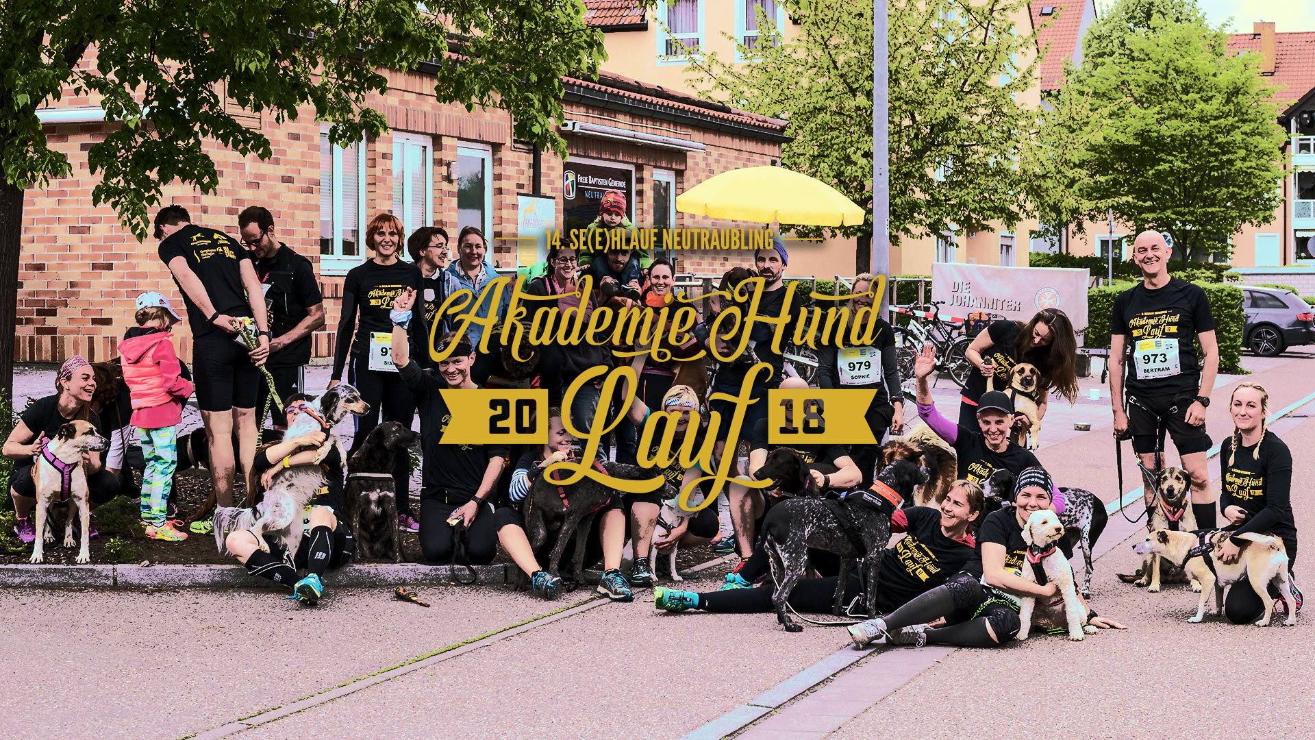 Akademie Hund Lauf, 14. Se(e)hlauf Neutraubling 2018, Anmeldung Akademie Hund Lauf, 14. Se(e)hlauf Neutraubling 2018, Anmeldung