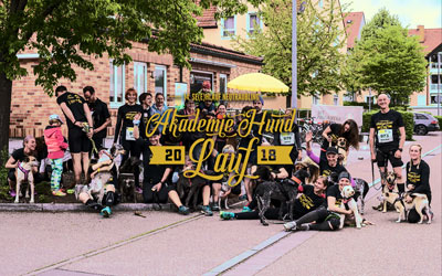 Seehlauf 2018 · Akademie Hund Lauf, Neutraubling