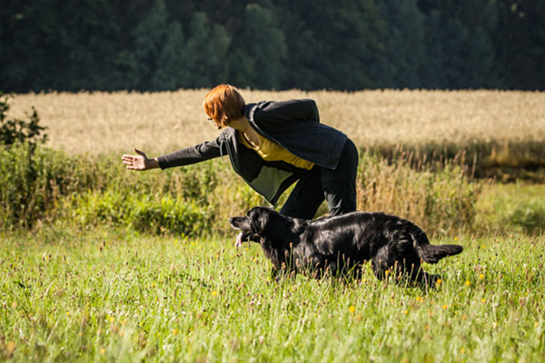 Die Wahl der richtigen Hundeschule