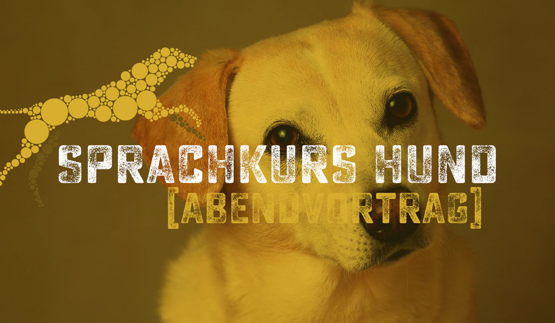 Sprachkurs Hund – Grundwortschatz