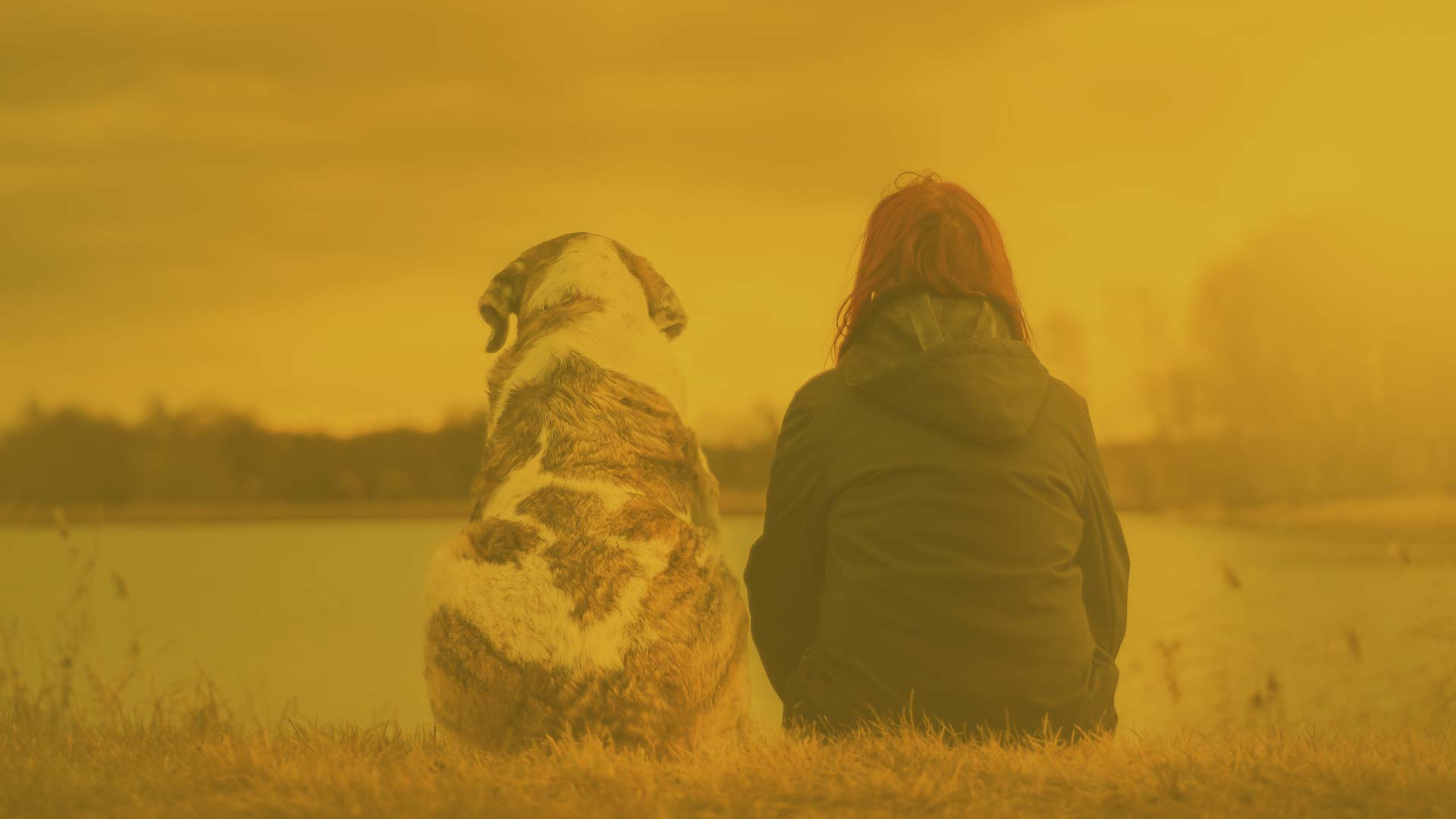 Vortrag Leadership - den Alltag mit Hund erfolgreich meistern