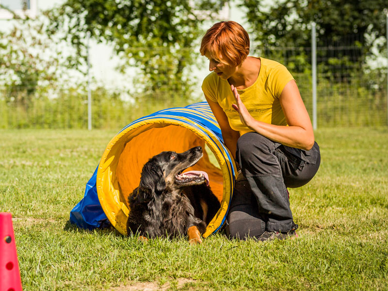 Sissy Leonie Kreid, Hundetrainerin aus Regensburg mit Hovawart Frau Emma