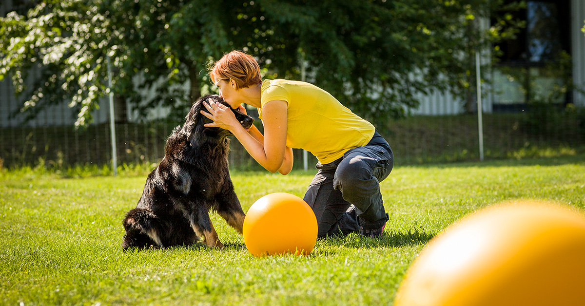 Vorträge, Seminare und · Hundeschule Akademie Hund