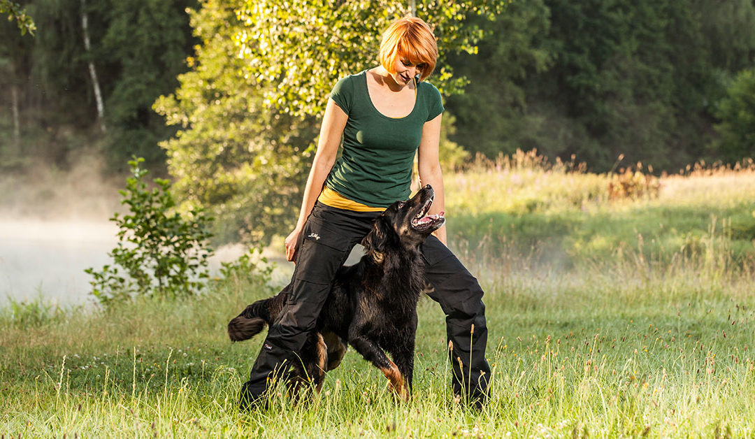 Praxisworkshop Körpersprache Hund – Hund