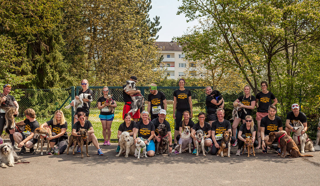 4. Akademie Hund Lauf 2019