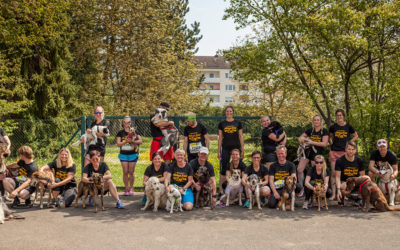 4. Akademie Hund Lauf 2019