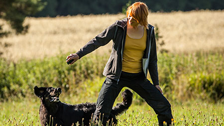 Fit Dank Hund, Sport mit Hund Fit Dank Hund, Sport mit Hund