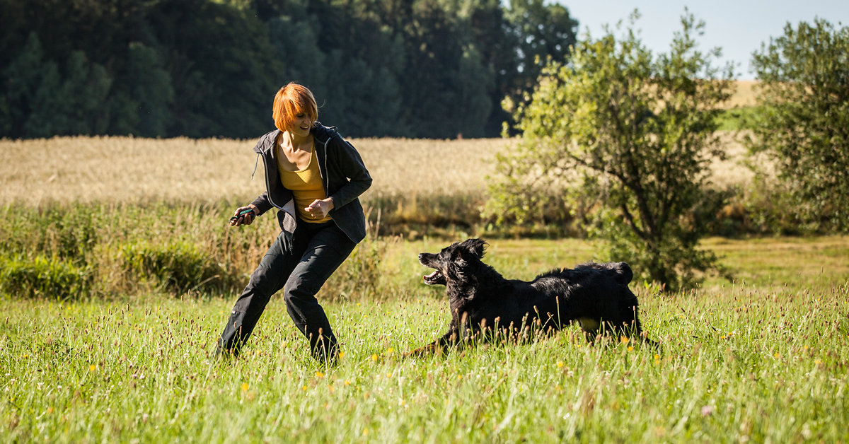 Kontakt, Akademie Hund, Hundeschule, Hundetraining, Regensburg