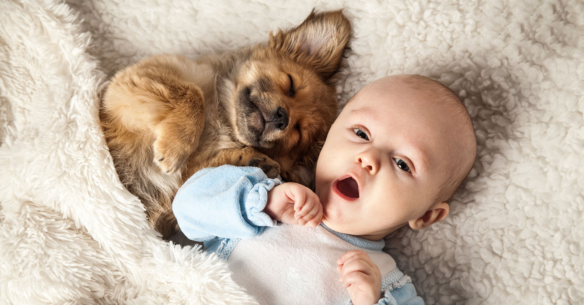 Baby und Hunde -Freunde für s Leben