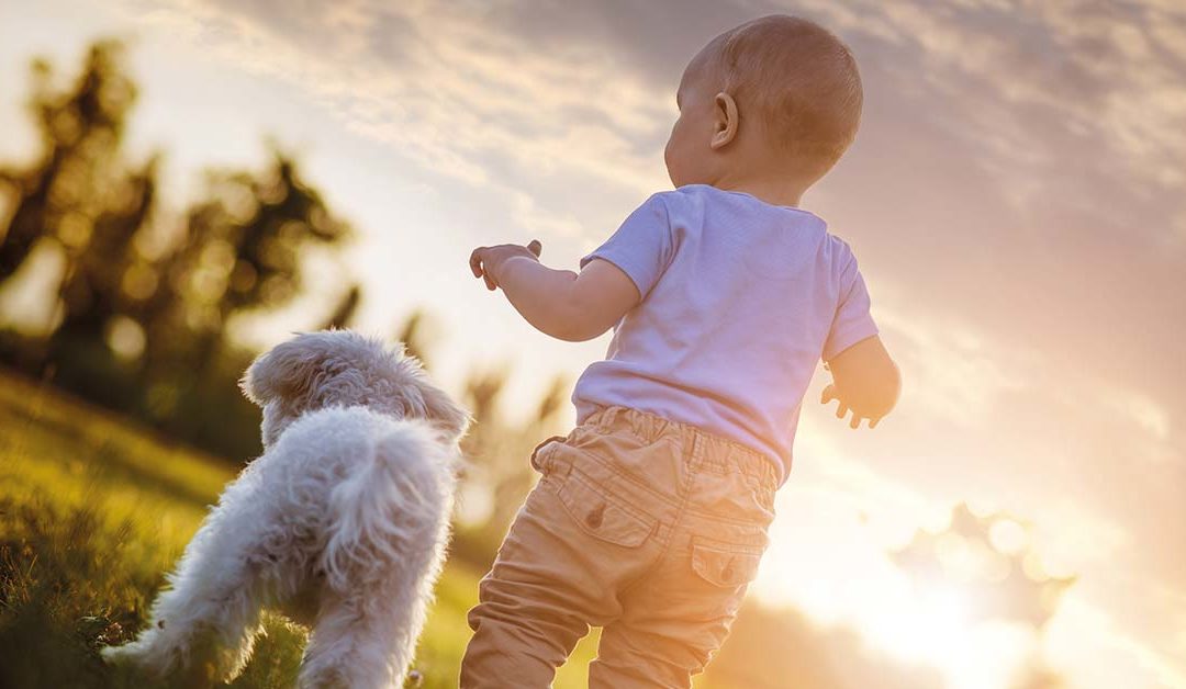 Baby und Hund – geht das?