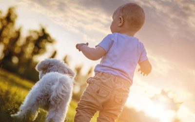 Baby und Hund – geht das?