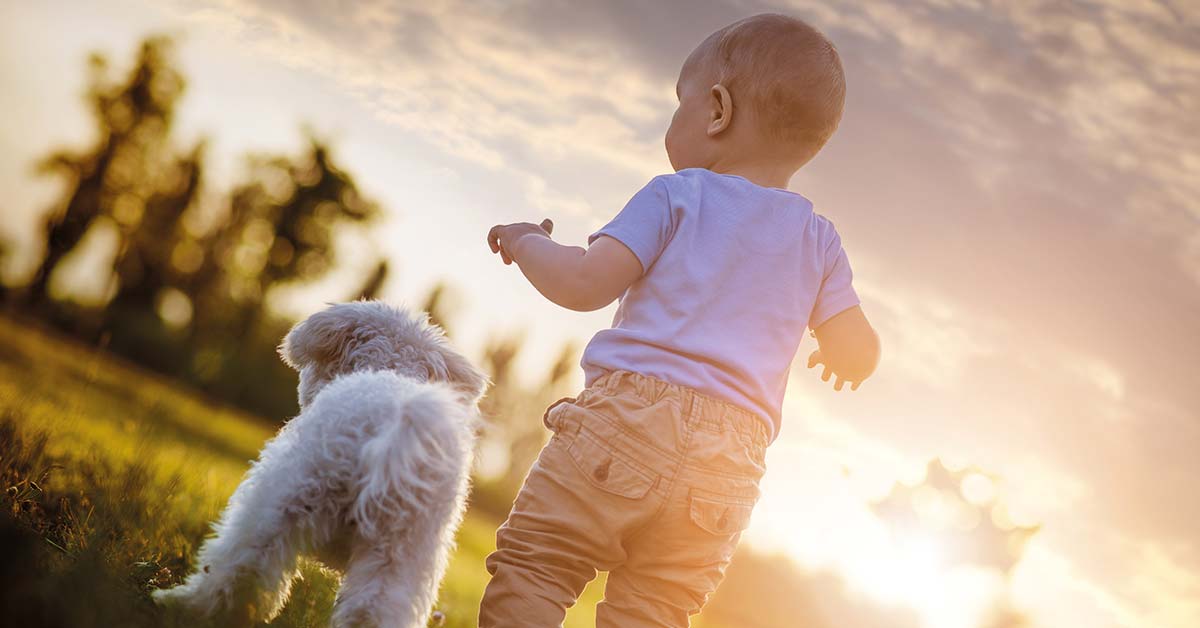 Schangerschaft: Zum Hund kommt ein Baby