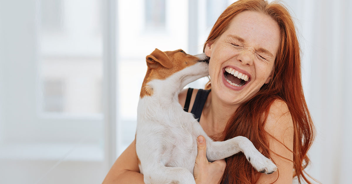 Hund schlecht Frau über s Gesicht