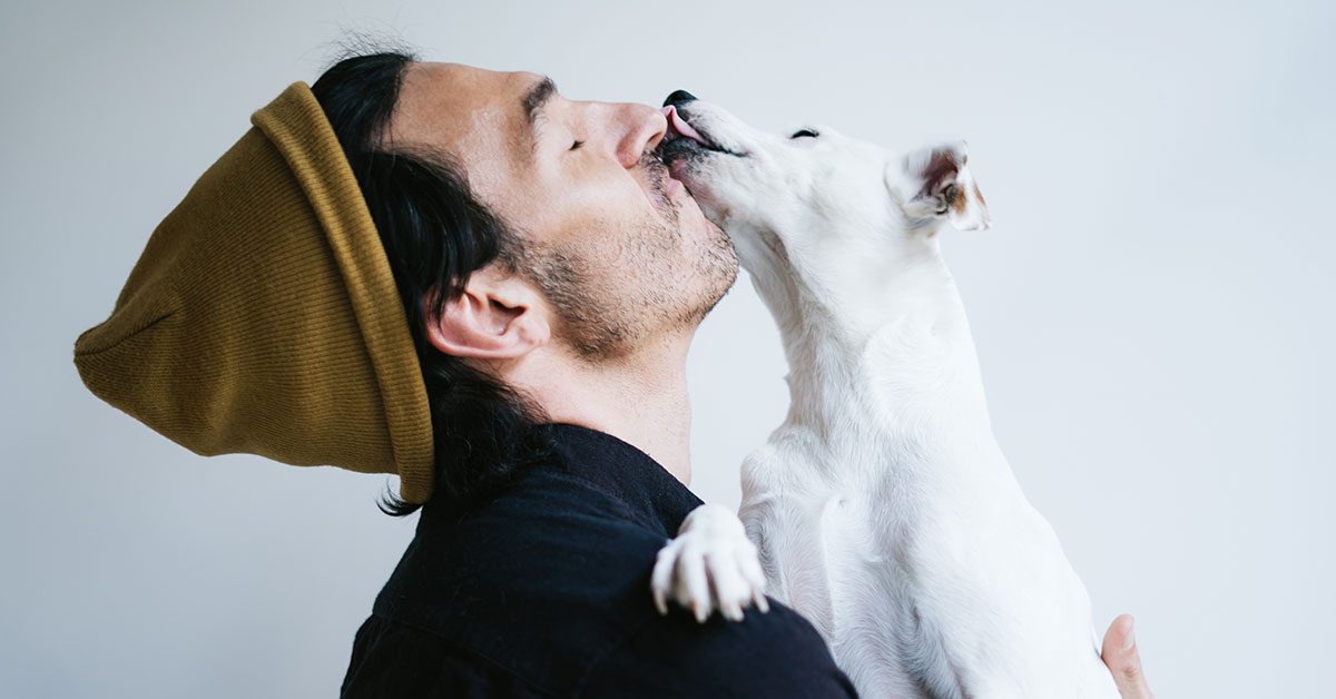 Schmerzen bei Hunden verstehen und erkennen Schmerzen bei Hunden verstehen und erkennen