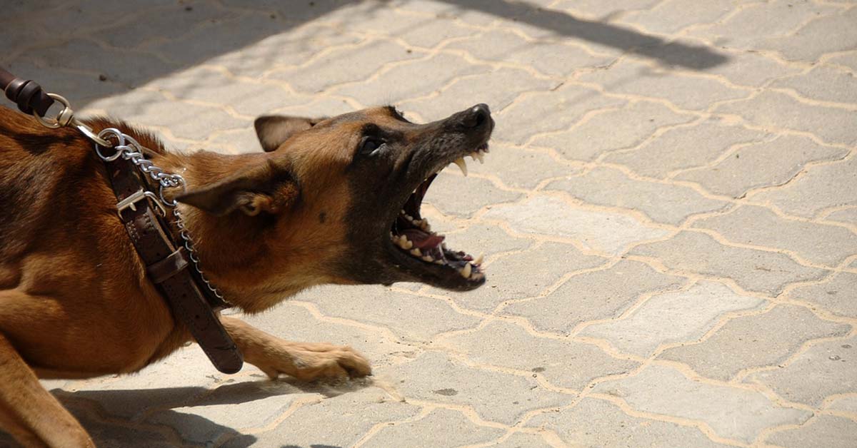 Aggression als Verteidigung