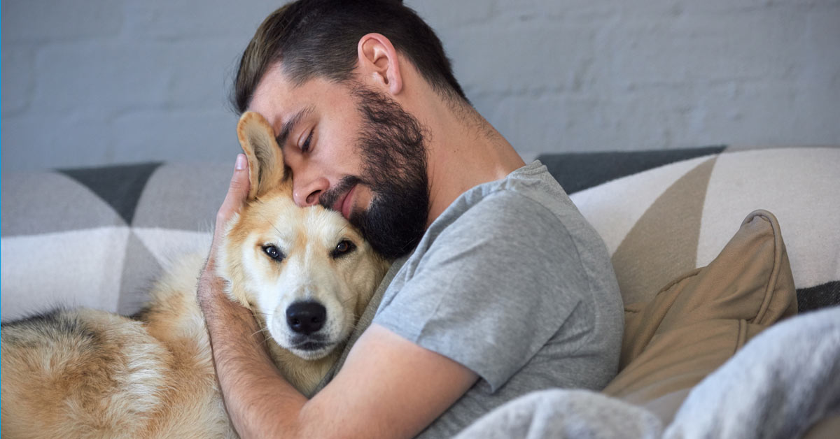 Hunde: empathische Wesen, die uns Menschen hervorragend verstehen