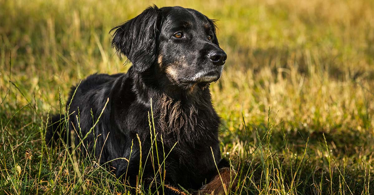 Frau Emma testet mooky