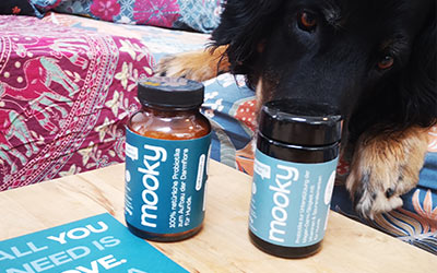 Wie Probiotika deinem Hund bei Verdauungsproblemen helfen können