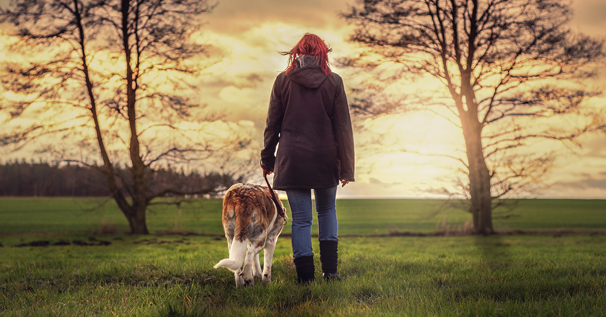 Frau mit Hund friedvoll Sonnenuntergang