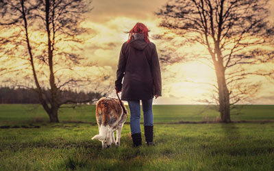 Mehr Frieden und Verständnis zwischen Menschen und Hunden