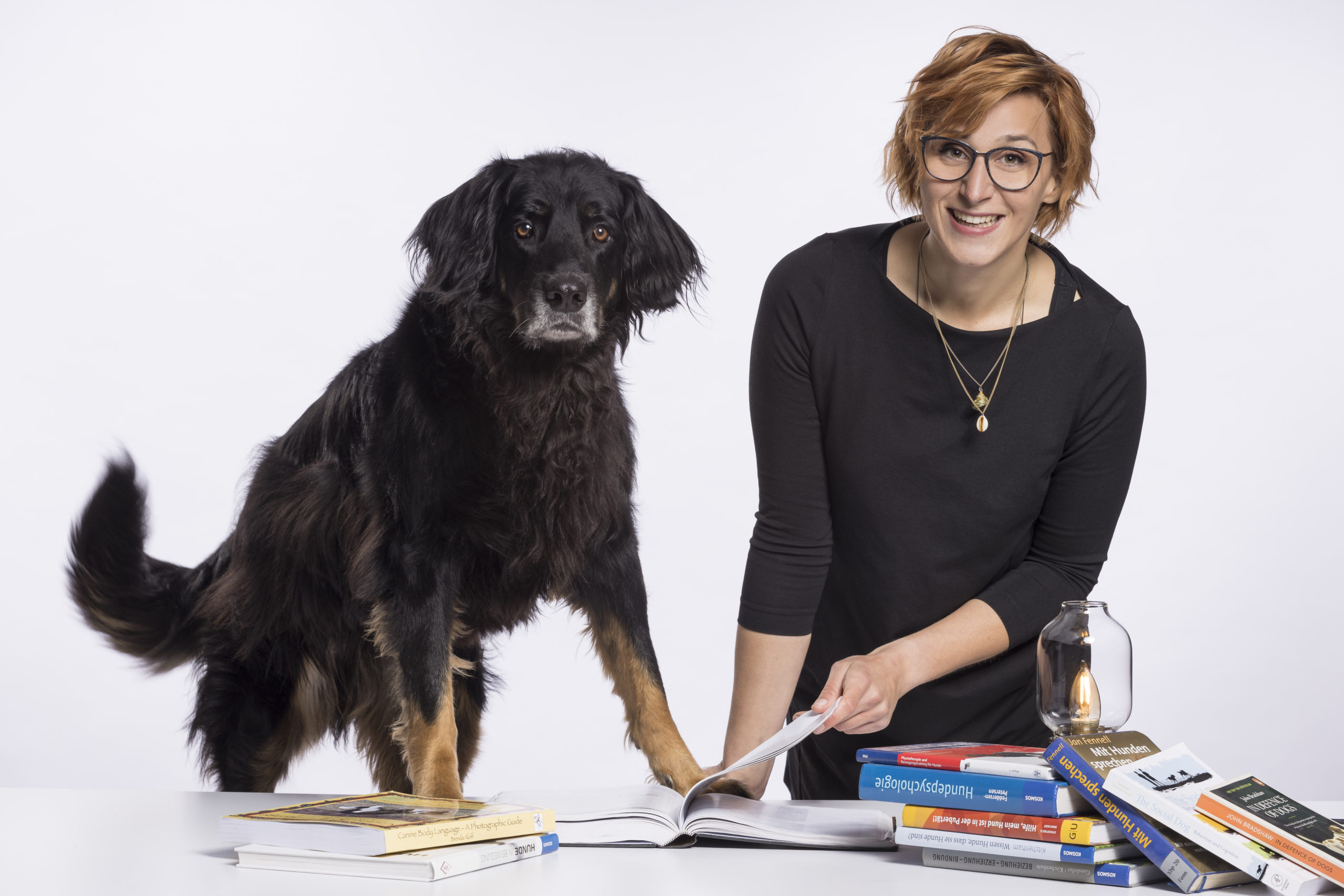 Akademie Hund Spielkumpan und Weggefährten