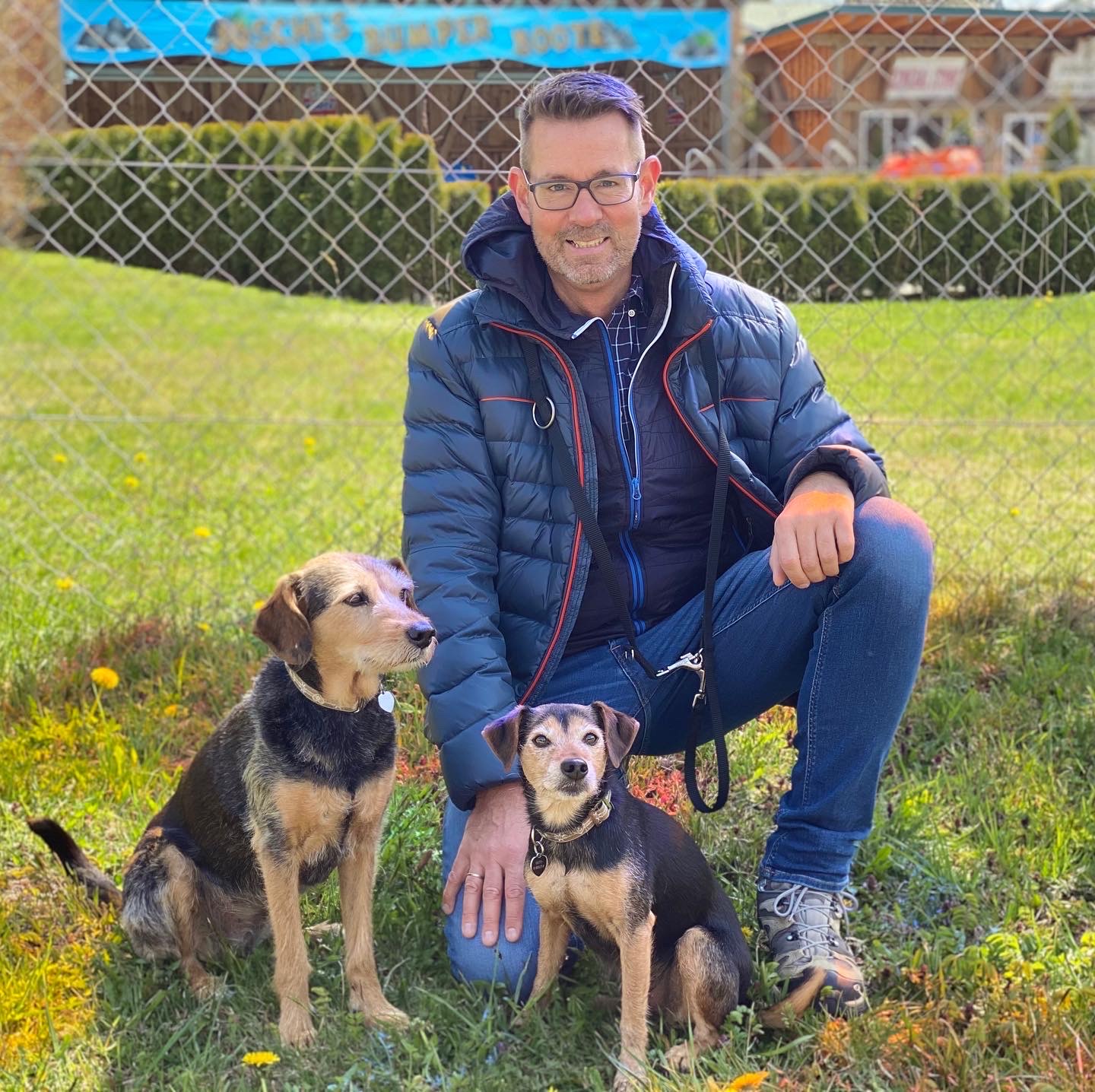 So haben Hunde weniger Angst vor Silvester