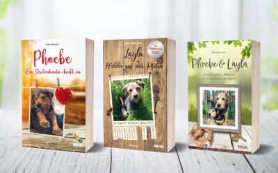 Angst bei Hunden – Verstehen und Beschützen